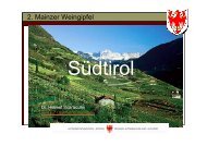 (Microsoft PowerPoint - S\374dtirol)