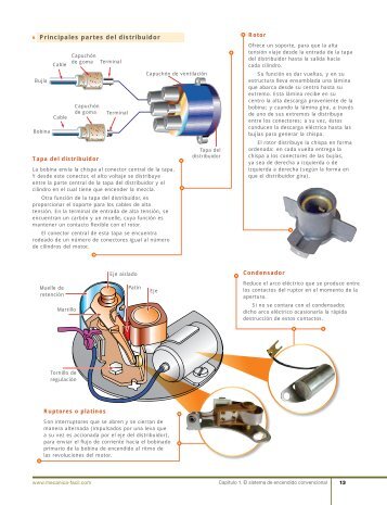 Principales partes del distribuidor - Tu Taller MecÃ¡nico
