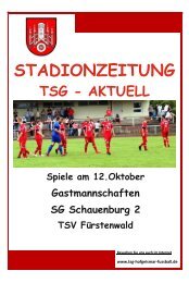 STADIONZEITUNG