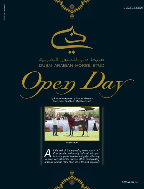 DUBAI ARABIAN HORSE STUD - tutto arabi