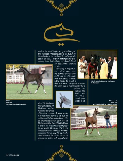 DUBAI ARABIAN HORSE STUD - tutto arabi