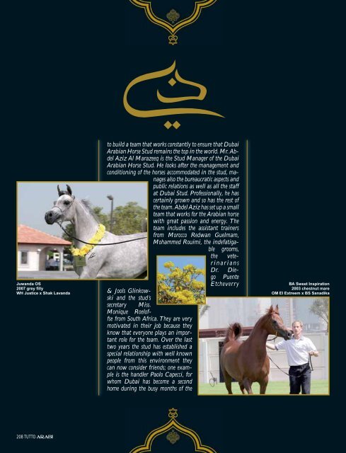 DUBAI ARABIAN HORSE STUD - tutto arabi