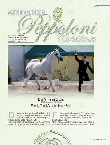 Esa Arieanna Express Sold to Dubai Arabian Horse Stud - tutto arabi