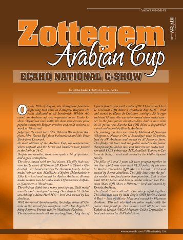 Zottegem ECAHO NATIONAL C-SHOW - tutto arabi