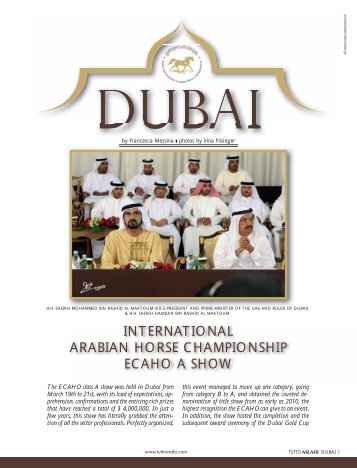 international arabian horse championship ecaho a show - tutto arabi