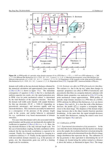 Local polarization dynamics in ferroelectric materials