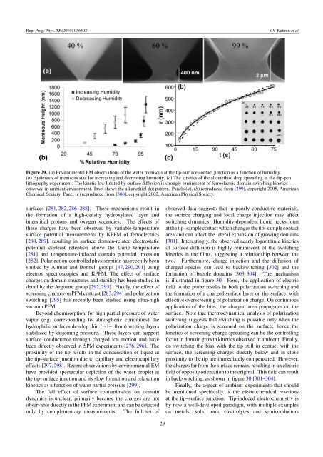 Local polarization dynamics in ferroelectric materials