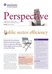 Public sector efficiency - Grant Thornton