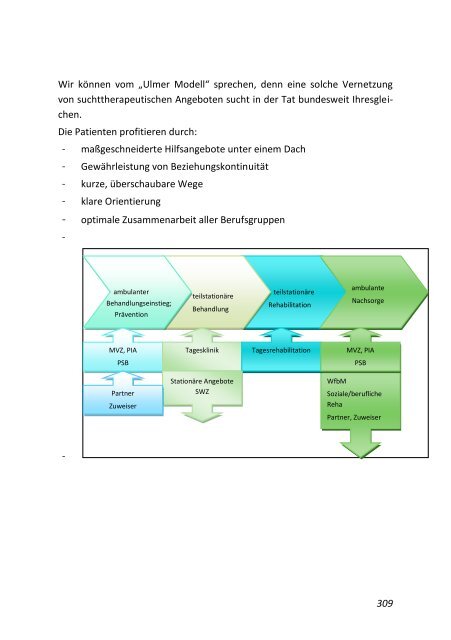 „Psychiatrische Pflege vernetzt“ (2011)