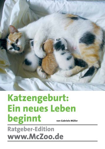 Katzengeburt: Ein Neues Leben Beginnt - McZoo