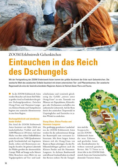 traumhaft schÃ¶ne MÃ¶glichkeiten - McZoo