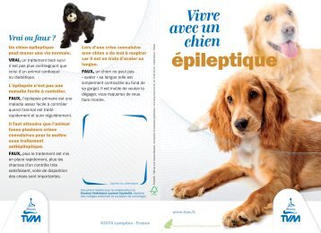 vivre avec un chien epileptique - TVM