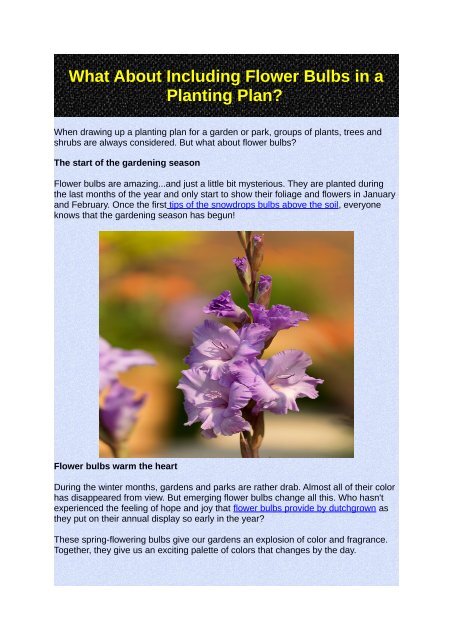 What About Including Flower Bulbs in a Planting Plan?