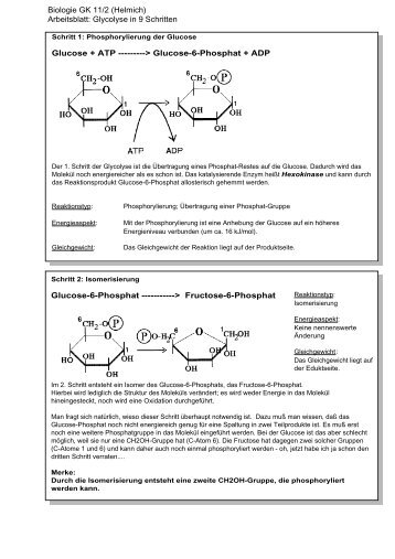 Glucose-6-Phosphat + ADP Glucose-6-Phosphat