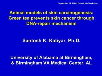 Santosh K. Katiyar, Ph.D. - University of Alabama at Birmingham
