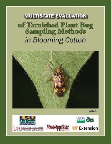 Tarnished Plant Bug - University of Arkansas Cooperative Extension ...