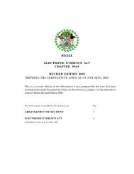 belize electronic evidence act chapter 95:01 revised ... - Uaipit.com