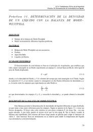 PrÃ¡ctica 11. DETERMINACIÃN DE LA DENSIDAD DE UN LÃQUIDO ...