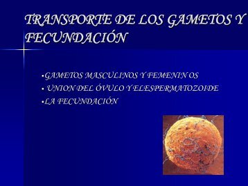 TRANSPORTE DE LOS GAMETOS Y FECUNDACIÃN