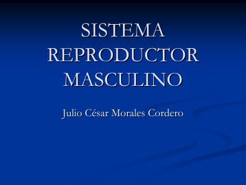 SISTEMA REPRODUCTOR MASCULINO - UAZ