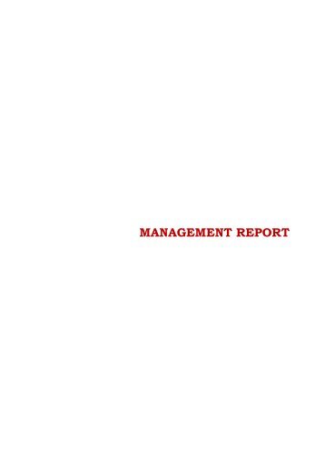 MANAGEMENT REPORT - UBI Banca