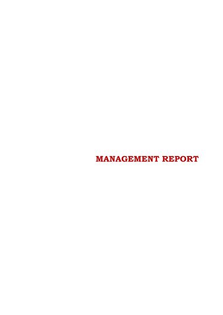 MANAGEMENT REPORT - UBI Banca