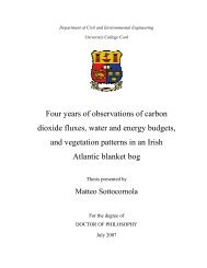 PhD Thesis, 2007 - University College Cork