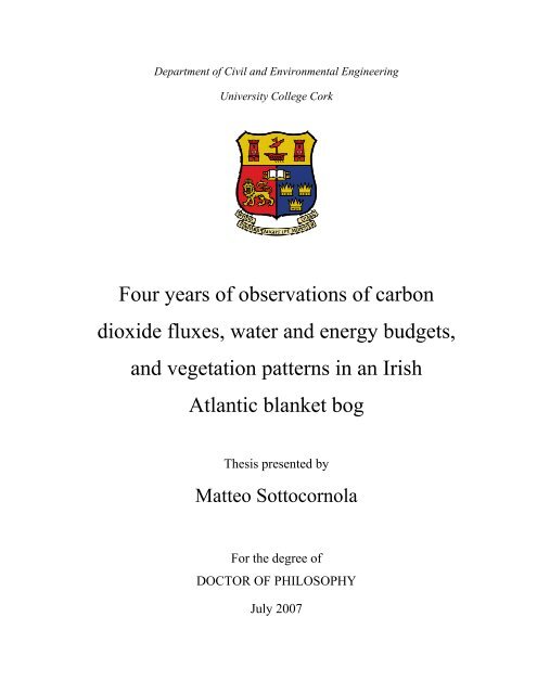 Phd thesis ireland