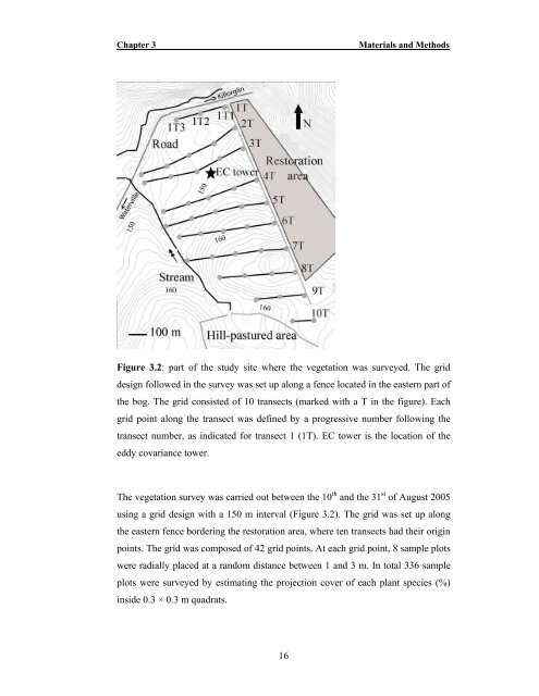 PhD Thesis, 2007 - University College Cork