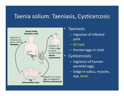 Intestinal Parasites: Helminths, Cestodes, Protozoa (and other ...