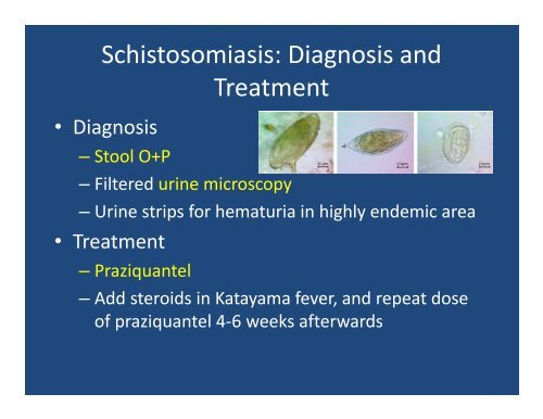 Intestinal Parasites: Helminths, Cestodes, Protozoa (and other ...