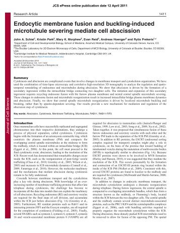Endocytic membrane fusion and buckling-induced microtubule ...