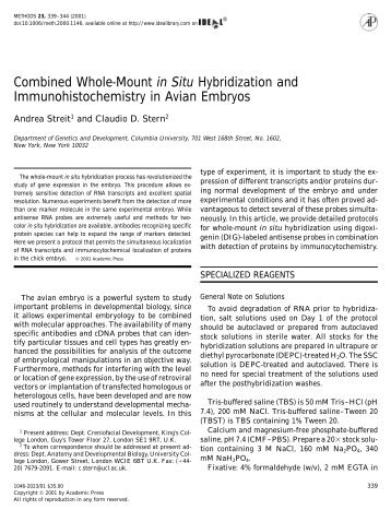 Combined Whole-Mount in Situ Hybridization and ... - ResearchGate