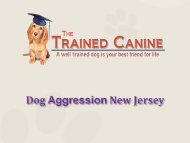 Dog Aggression New Jersey