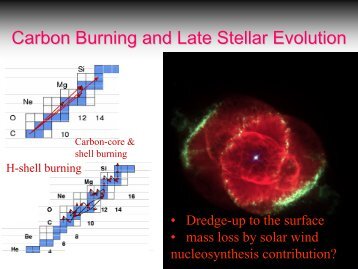 8) Carbon Burning & Late Stellar Evolution - ISNAP