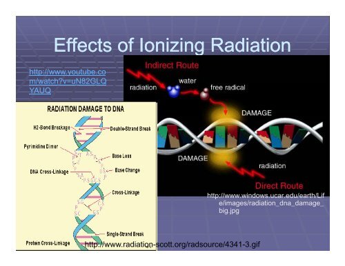 The Biological and Medical Effects of Radiation