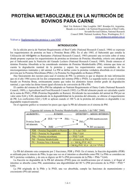ProteÃ­na metabolizable en la nutriciÃ³n de bovinos para carne