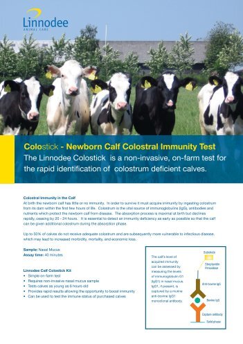 Colostick - Newborn Calf Colostral Immunity Test