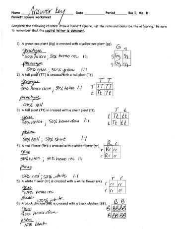 Printables Punnett Square Worksheet Answers punnett square quiz draw a list the rotio and describe offspring be