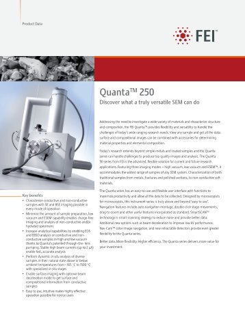 Quanta™ 250 - FEI Company