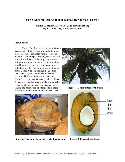 Cocos Nucifera: An Abundant Renewable Source of Energy