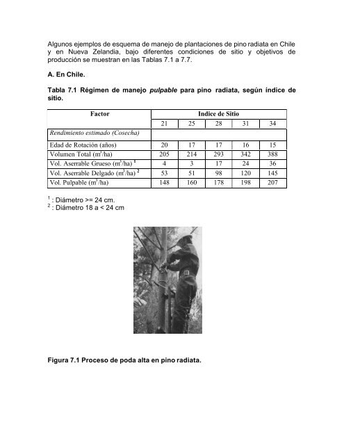 silvicultura aplicada i apuntes de clase - Universidad de ConcepciÃ³n