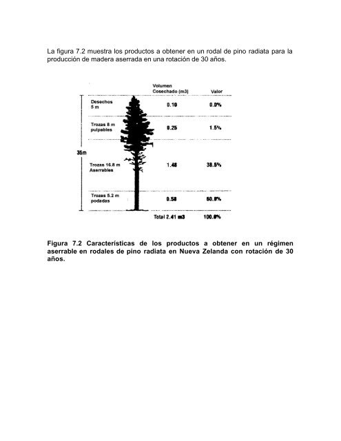 silvicultura aplicada i apuntes de clase - Universidad de ConcepciÃ³n