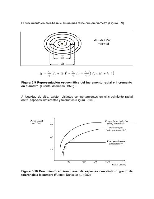 silvicultura aplicada i apuntes de clase - Universidad de ConcepciÃ³n