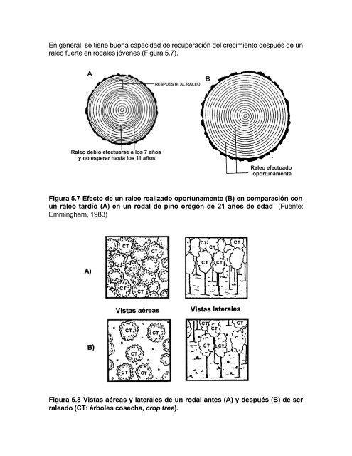 silvicultura aplicada i apuntes de clase - Universidad de ConcepciÃ³n