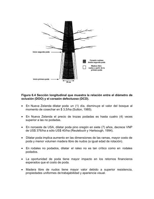 silvicultura aplicada i apuntes de clase - Universidad de ConcepciÃ³n