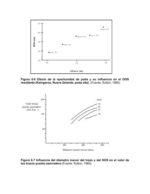 silvicultura aplicada i apuntes de clase - Universidad de ConcepciÃ³n