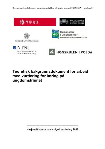 Vedlegg 5: Bakgrunnsdokument om vurdering for lÃ¦ring - Udir.no