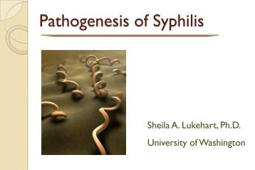 Pathogenesis of Syphilis - TREE