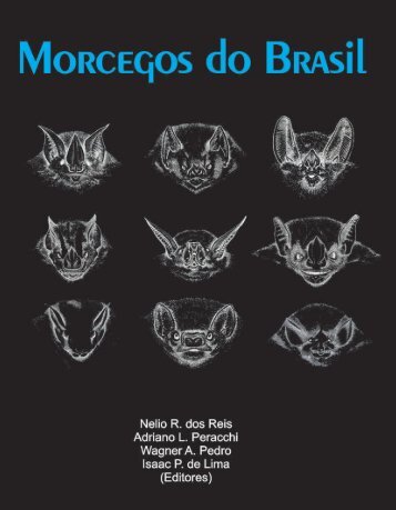 Morcegos do Brasil - Universidade Estadual de Londrina